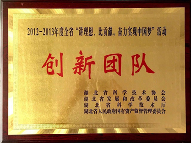 湖北省2012-2013年度“講理想，比貢獻”創新團隊.jpg